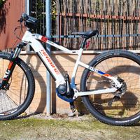 Bicicletta elettrica