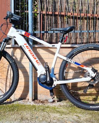 Bicicletta elettrica