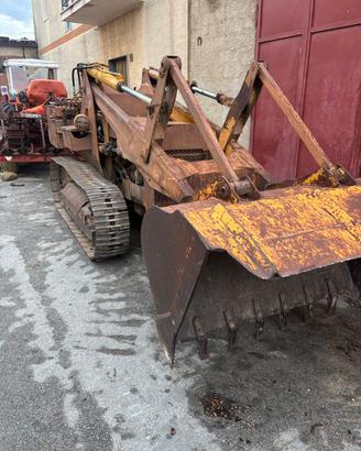 Massey ferguson 244