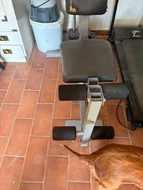 Palestra completa