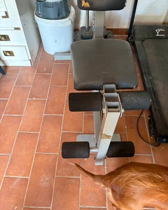 Palestra completa