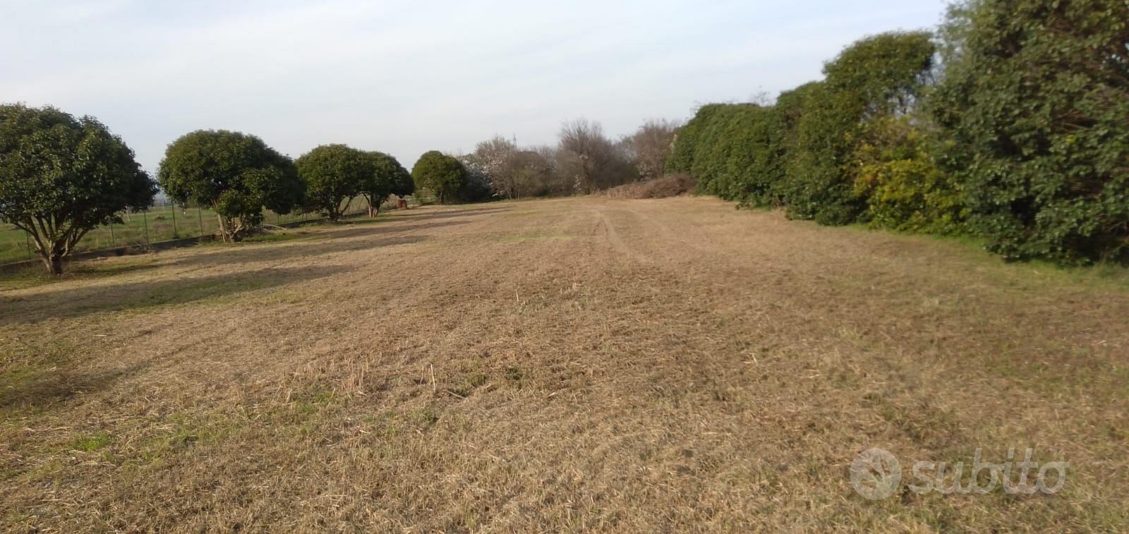 Terreno agricolo a Montecchiari - Vista 3