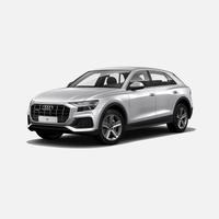 Audi RS Q8 4.0 mhev quattro tiptronic