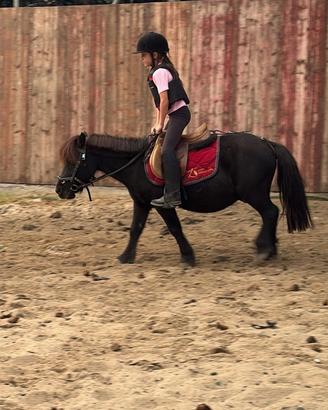 Pony