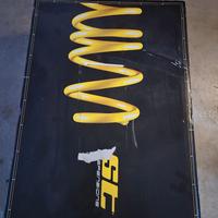 Molle ST Swift Sport