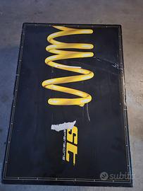 Molle ST Swift Sport