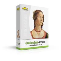 ACCA CALCOLUS - SEZIONE