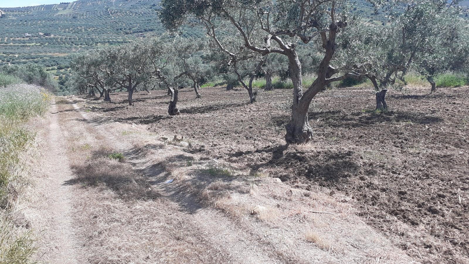 Terreno di 6 tumoli - Vista 2