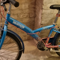 bici da ragazza 12-14 anni