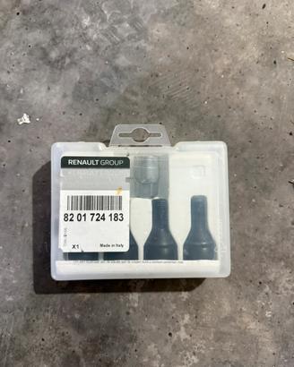 Bulloni antifurto Renault