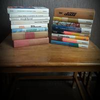 Romanzi di autori celebri 