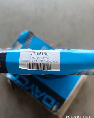cinghia distribuzione ducati 