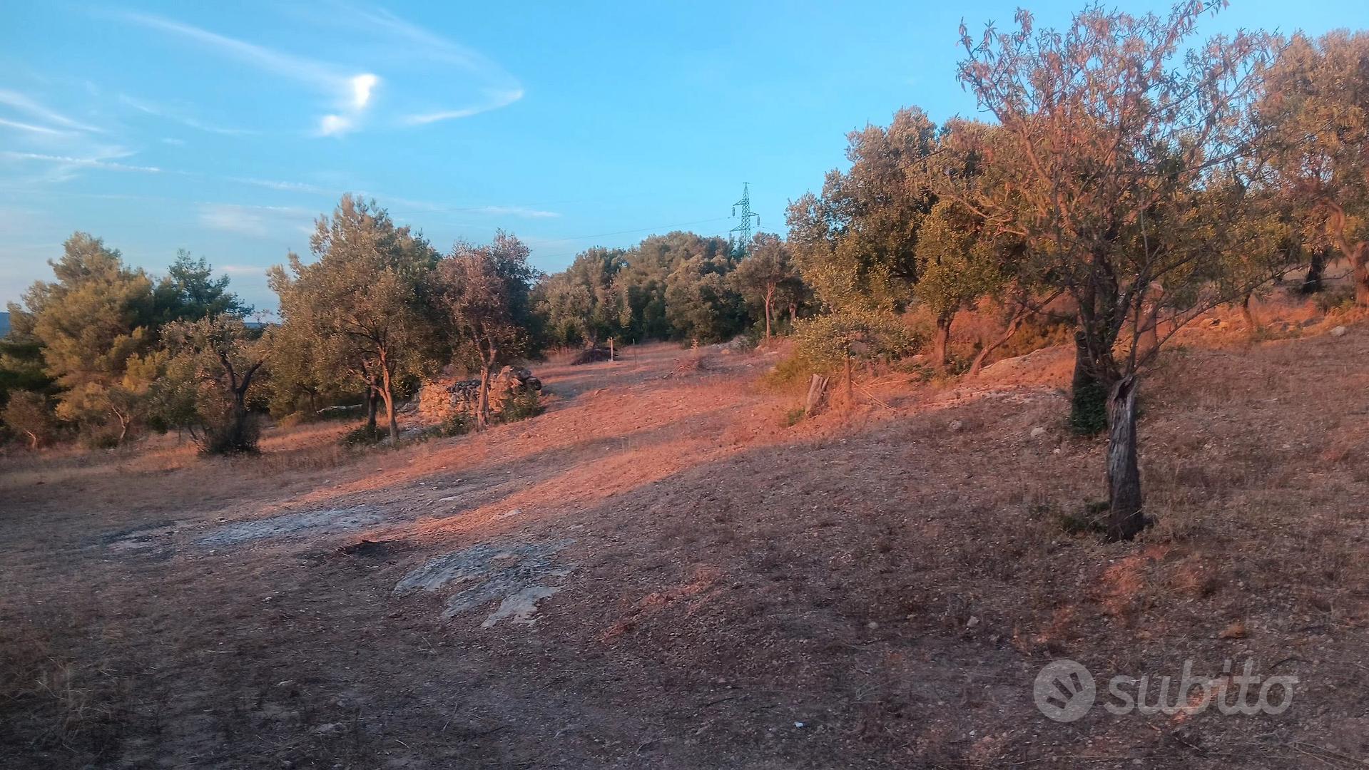terreno agricolo - Altro