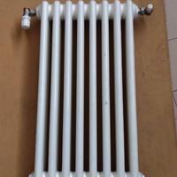 Radiatori in Acciaio