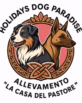 Pastori Belga Malinois