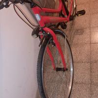 Bicicletta unisex 