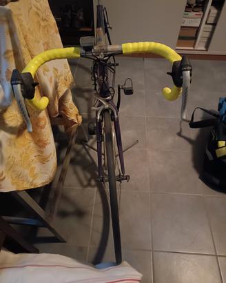 bici Basso