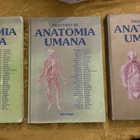 Trattato di Anatomia Umana (Anastasi)
