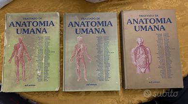 Trattato di Anatomia Umana (Anastasi)