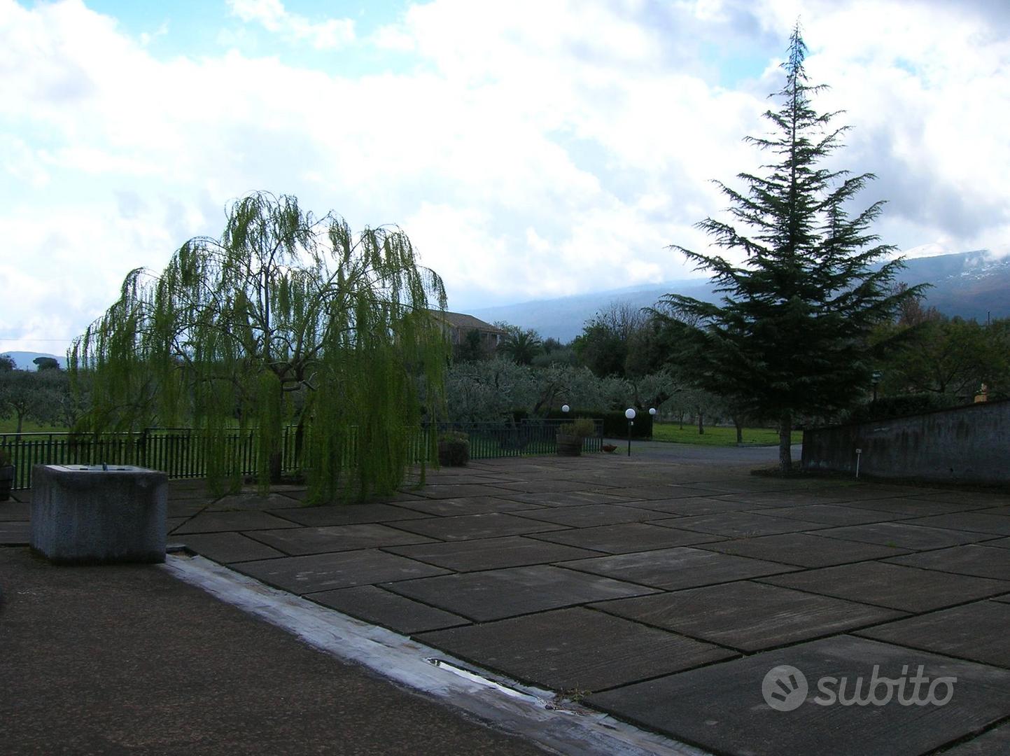 Terreno agricolo con villa, uliveto e vigneto - Vista 2
