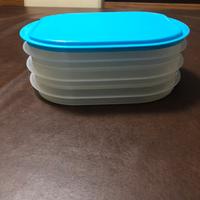 Contenitore porta salumi TUPPERWARE