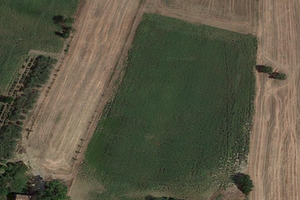 Terreno agricolo in zona collinare