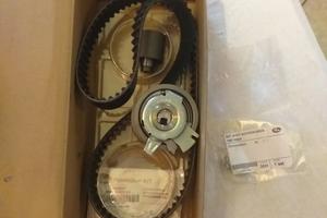 kit cinghia distribuzione k055569xs powergrip