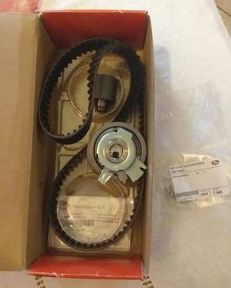 kit cinghia distribuzione k055569xs powergrip