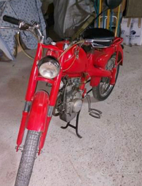 Motom 50 cc