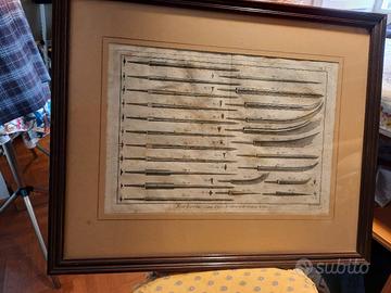 stampa Diderot e d'Alembert