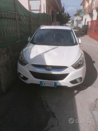 Hundaix35 
