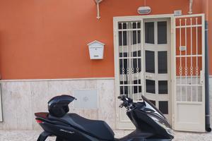 Pcx honda 125
