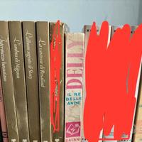 Set libri rosa vintage