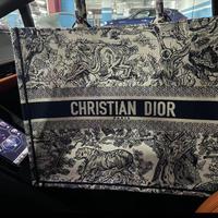 DIOR 01