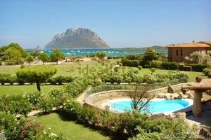 LAST MINUTE Monolocale a 100 m dal mare