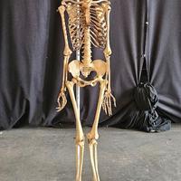 ANTICO SCHELETRO UMANO DIDATTICO MODELLO ANATOMICO