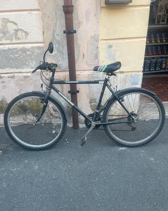 Bici MTB