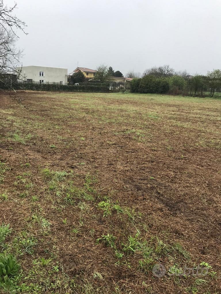 Valmontone - terreno agricolo 5.450 mq recintato - Vista 3