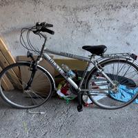 bicicletta sportiva