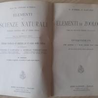 Elemeti di zoologia -  O. shmeil - F. Raffaele 