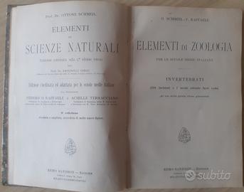 Elemeti di zoologia -  O. shmeil - F. Raffaele 