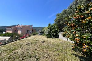 TER. AGRICOLO A BOISSANO