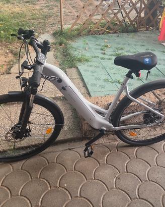 Bicicletta elettrica