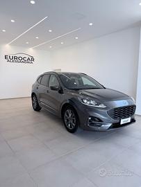Ford Kuga 1.5 EcoBlue 120 CV 2WD ST-Line