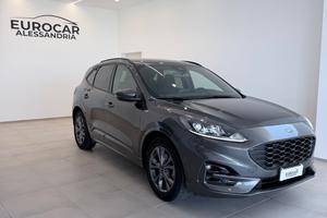 Ford Kuga 1.5 EcoBlue 120 CV 2WD ST-Line