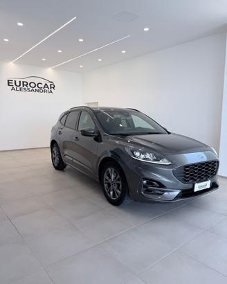 Ford Kuga 1.5 EcoBlue 120 CV 2WD ST-Line