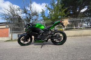 Kawasaki Z 300