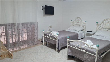 Disponibile luglio e agosto