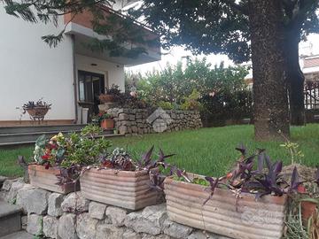 VILLA A SCHIERA A NOCERA INFERIORE