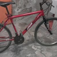 montain bike Hard Tail 260